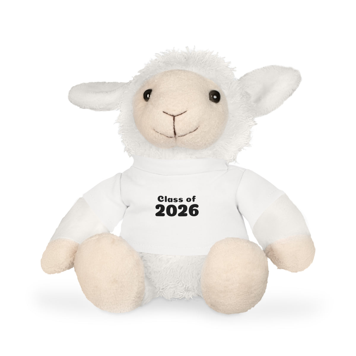 Class of 2026 Plush Toy with T-Shirt