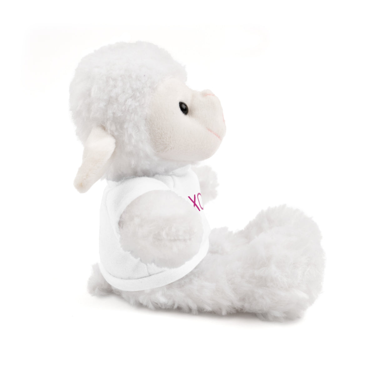 Hugs and Kisses Stuffed Animals with Tee