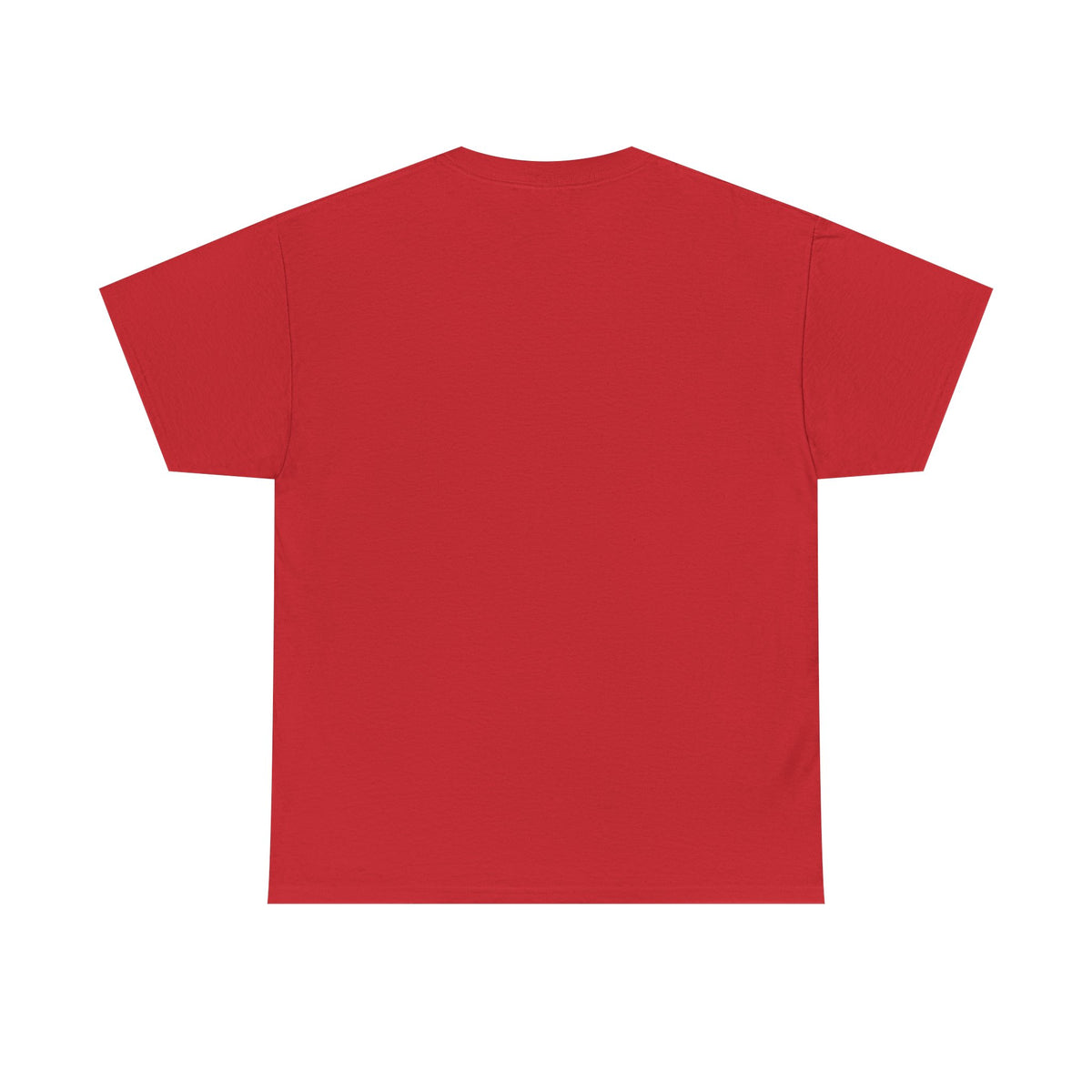2026 Unisex Heavy Cotton Tee