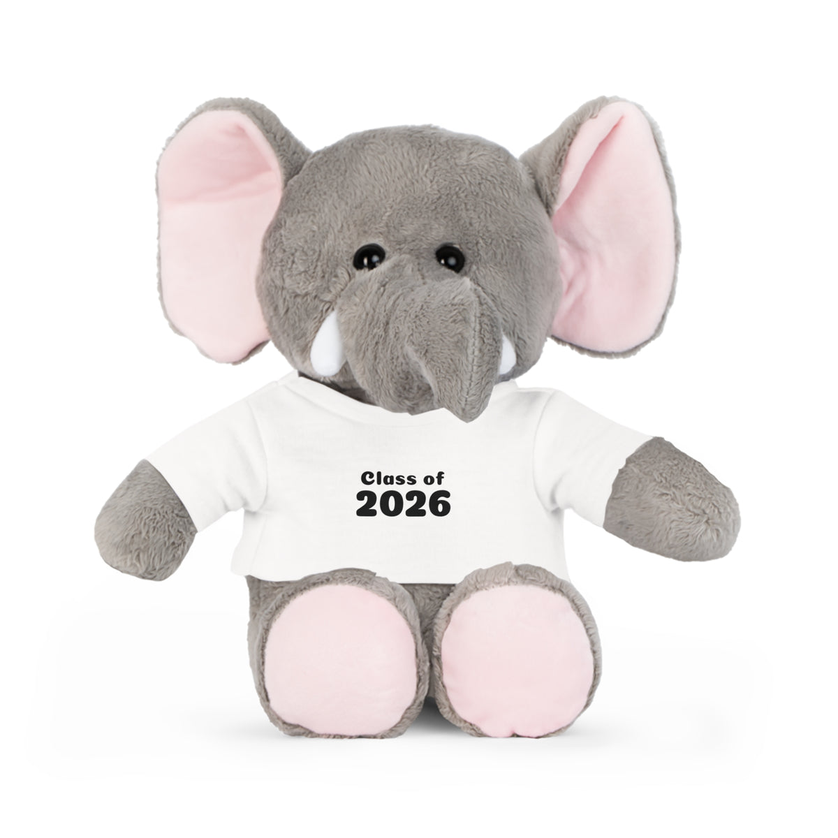 Class of 2026 Plush Toy with T-Shirt