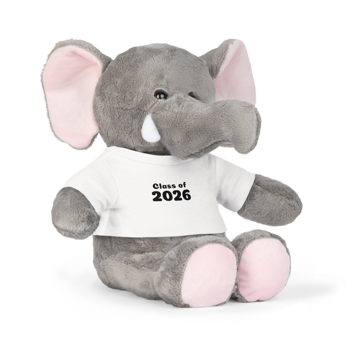 Class of 2026 Plush Toy with T-Shirt